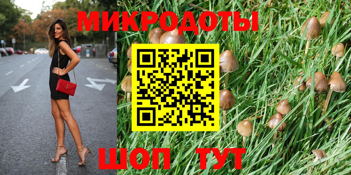 Новосибирск  где купить наркоту  Галлюциногенные грибы Psilocybe  Вход с VPN  Галлюциногенные грибы MAGIC MUSHROOMS 